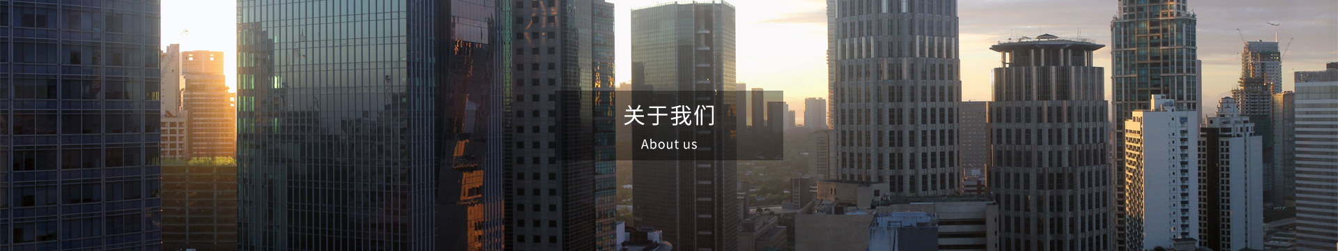 公司簡介